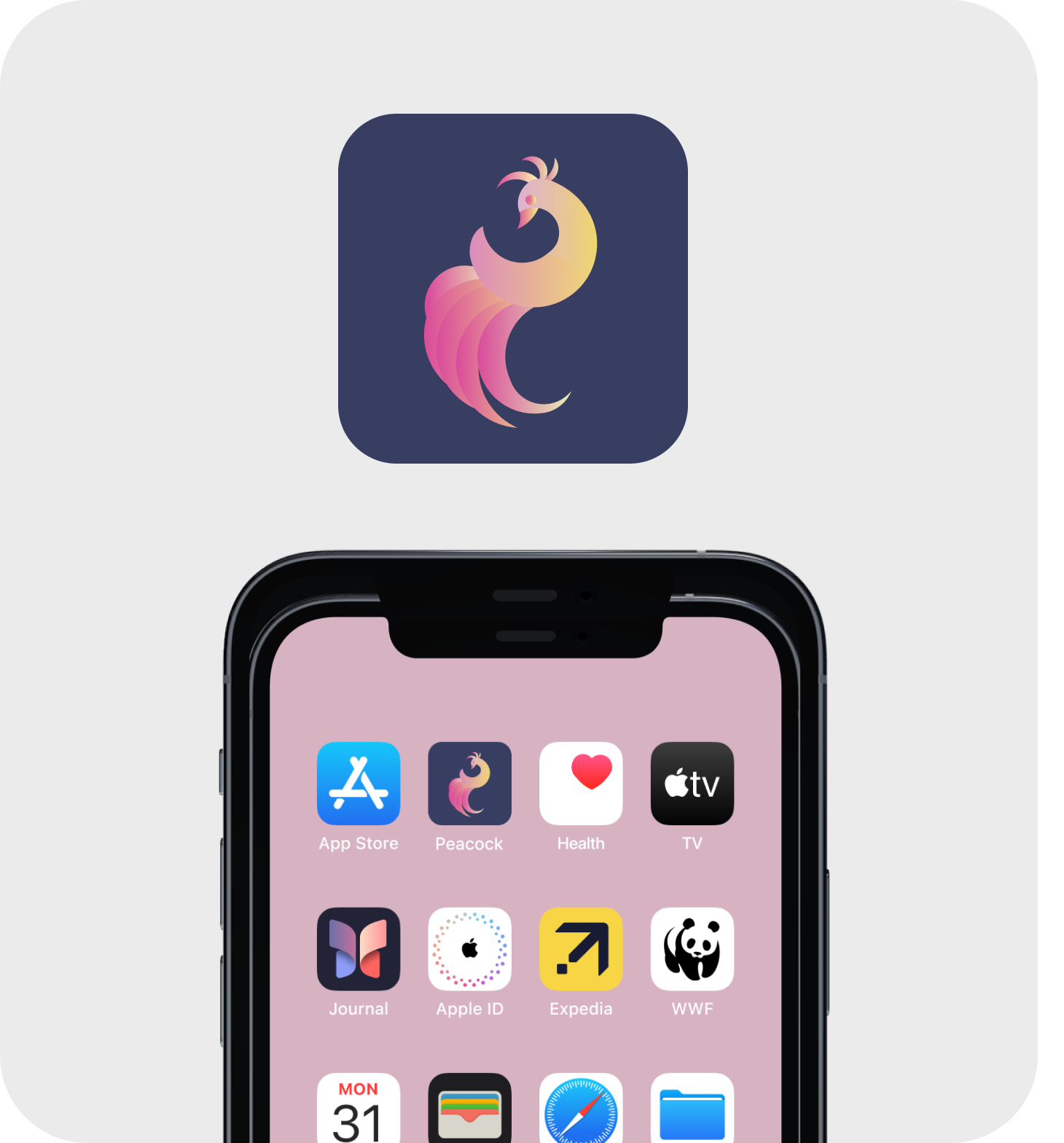 Daily UI Challenge #005- App Icon dailyui graphic design illustration logo vector