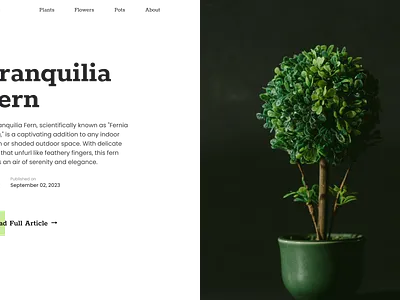 Plant Website Landing Page daily ui design landing page minimalism ui uiux web design