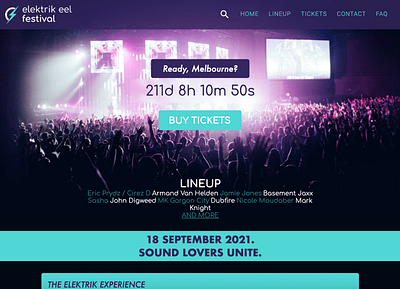 Elektrik Eel Festival Web Design design development digital design graphic design site ux uxui web web design website