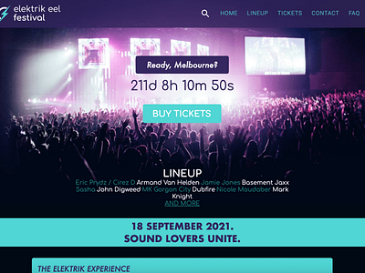 Elektrik Eel Festival Web Design design development digital design graphic design site ux uxui web web design website