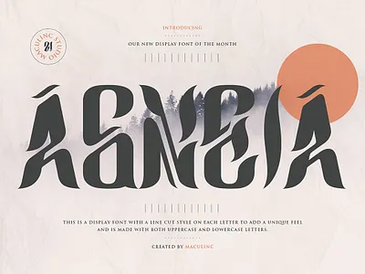 Agneia branding decorative display font font logo magazine packaging sans serif typeface