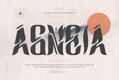 Agneia branding decorative display font font logo magazine packaging sans serif typeface