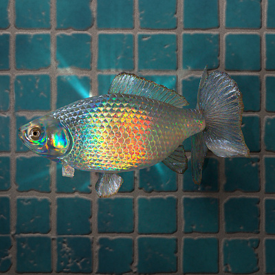 Gemfish 3d animation fishe logo motion graphics octane