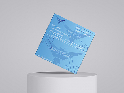 Blue Eagle Mock-up branding graphic design illustration mockup