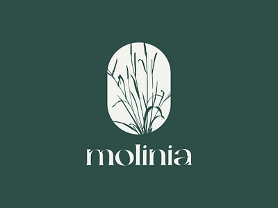 Crafting Molinia's Brand Logo: Embracing Nature's Elegance 🌿⚡️ brand brandidentity branding color design font graphic design green icon illustration logo logotype minimalistic nature typography