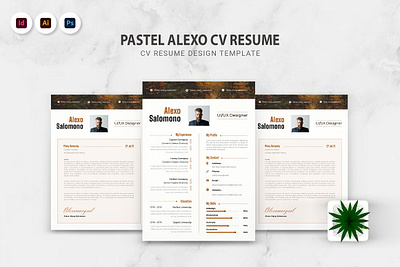 Pastel Alexo CV Resume application business company corporate curriculum cv document employment interview job modern paper professional resume template vitae work