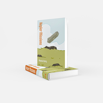 Book Covers audio book design book cover book design cover design graphic design illustration mockups