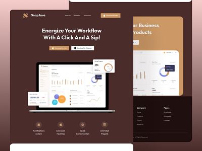 landing page_SAAS dashboard design saas ui ux website