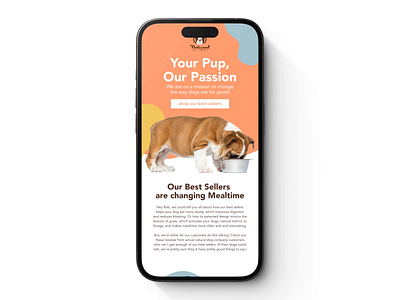 Email for Natural Dog Company branding design email email design graphic design illustration logo ui ux vector