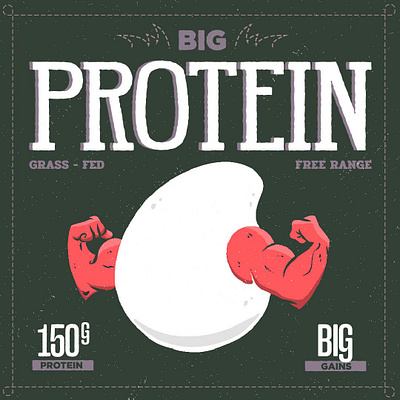 Big Protein branding graphic design illustrations logo