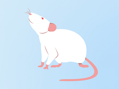Rats vector illustration design flat design gray rat illustration rat rat illustration rats rodent vector vector art vector illustration white rat