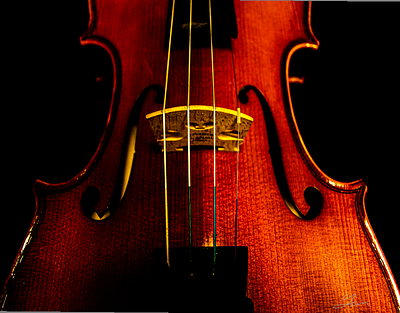 Close Up On Violin photography photo