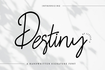 Destiny : A Handwritten Signature Font card fonts elegant fonts font font design handwritten font romantic script font typography wedding fonts