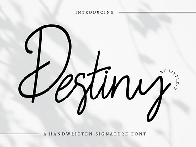 Destiny : A Handwritten Signature Font card fonts elegant fonts font font design handwritten font romantic script font typography wedding fonts