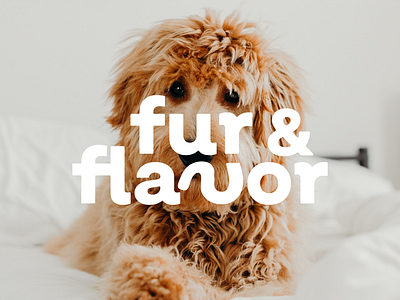 Fur & Flavor | Brand Identity brand brand design brand identity branding creative design feed graphic design identity illustrator logo pets pets care photoshop typography visual identity