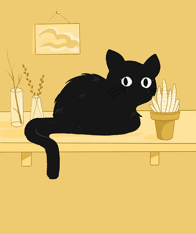 Cat animation design graphic design illustration sketch