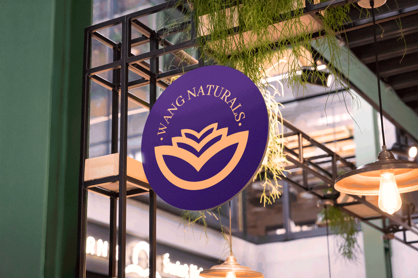 Wang Naturals (media inside*) brand branding graphic design logo logo design packaging design product design product package visual identity design