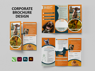 Brochure Design 3d app art branding design flat graphic design illustration logo ui