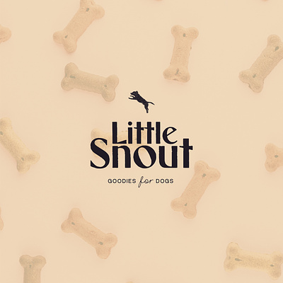 Litte Snout Branding branding design graphic design illustration logo typography