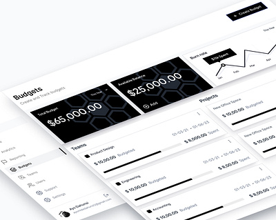 Budget Dashboard - Light Mode black and white budget dashboard finance fintech light mode uiux