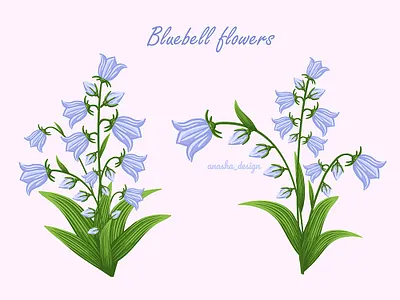 Bluebells illustration 2d adobe illustrator anasha design bell blue bluebell bouquet branding design digitalillustration fabric flowers flowersvector graphic design illustration logo plant vectorpattern wildflowers wrappingpaper