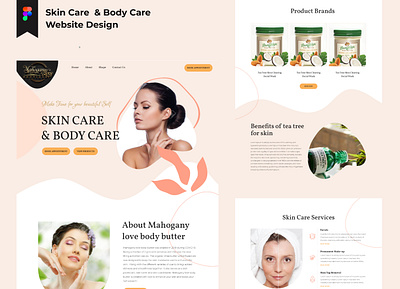 Skin Care & Body Care branding design graphic design illustration ui ux vector web website