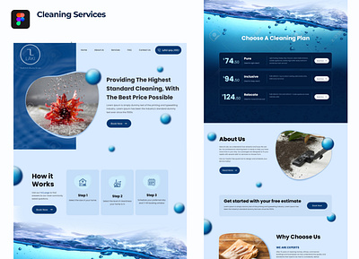 Cleaning branding design graphic design illustration ui ux vector web website