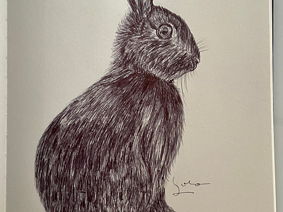 Ballpen Rabbit 🐇 ballpen design drawing illustration rabbit rabbits sketch