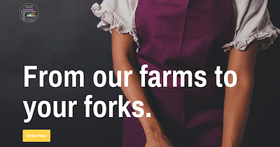 Farm to Fork Food Project branding design food photography video