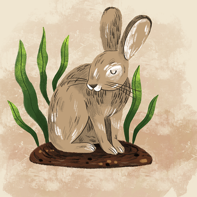 Bunny animal book character children graphic design illustration