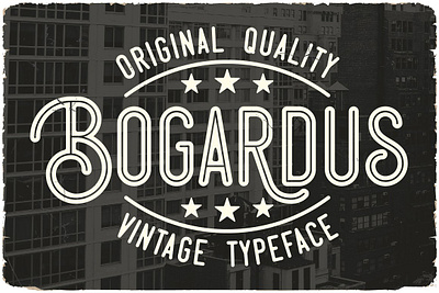 Bogardus app branding design graphic design illustration logo typography ui ux vector