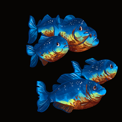 Piranhas animal book character children design fish graphic design illustration sea