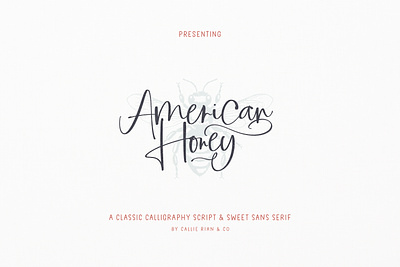 American Honey Script & Sans branding font calligraphy font farmhouse font farmhouse vectors logo font pretty font sans serif font script font wedding font
