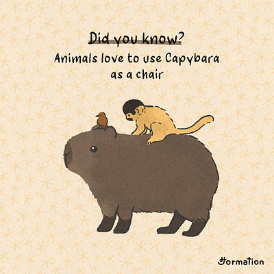Animals love to use Capybara as a chair animal bird capybara cartoon digital art digital illustration drawing fun fact illustration monkey wild life