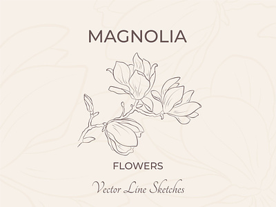 Magnolia flower design flowers graphic design magnolia sketch vector