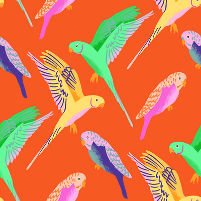 Tropical Parakeet Pattern colorful design illustration parakeet pattern procreate procreate artist procreate pattern repeat pattern surface design surface pattern tropical