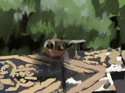 Bird art set bird digital painting painting