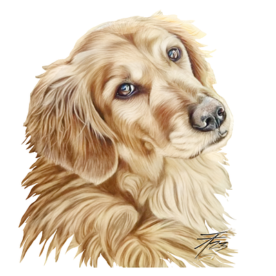 Commission pet painting for private client “Pazzi”
