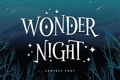 Wonder Night app branding design graphic design illustration logo typography ui ux vector
