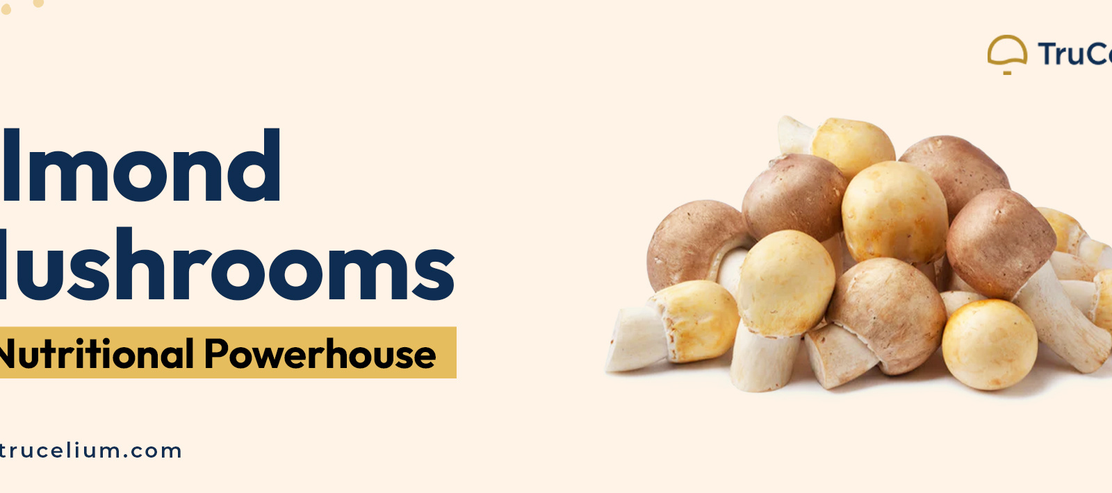 The Uses of the Almond Mushroom in Medicine by TruCelium on Dribbble