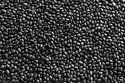 Black Beans Texture beans beans texture black beans free image free pattern freebie texture