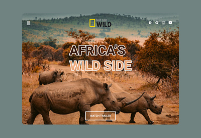 Redesign of NAT GEO WILD Website app branding design graphic design illustration ui ux