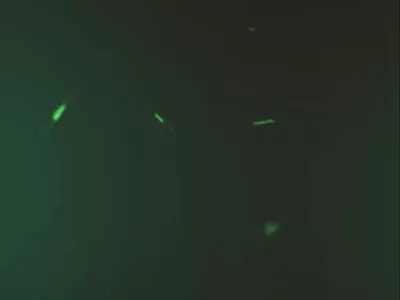 motion.wix logo (How I came up with the idea) 3d branding design graphic design illustration logo motion graphics