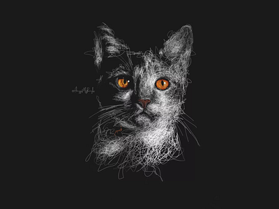 Scribble Art Cat art design digital art drawing pen sketch sketches sketchy