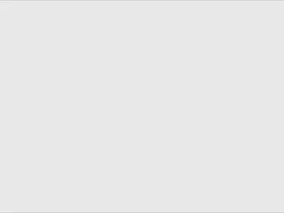 Burger reveal Animation animation branding graphic design logo motion graphics ui