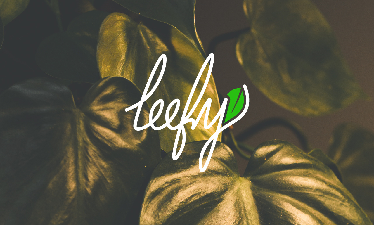 Leefy Logo by Mahfuz Ahmed on Dribbble