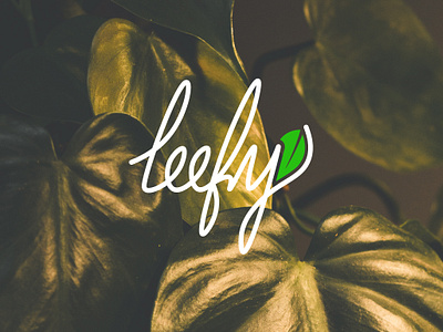 Leefy Logo animation branding business crea creative flat graphic design green illustration logo medicine minimal modern motion graphics professional seemless simple tree typography unique