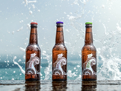 Ammonite Cider Labels branding design drinks graphic design illustration labels packaging typography vector