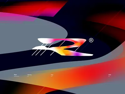 Raon / IT / Identity brand branding graphic design identity it logo logotype