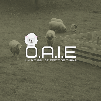 Розробка логотипу для румунської компанії O.A.I.E. design graphic design logo vector